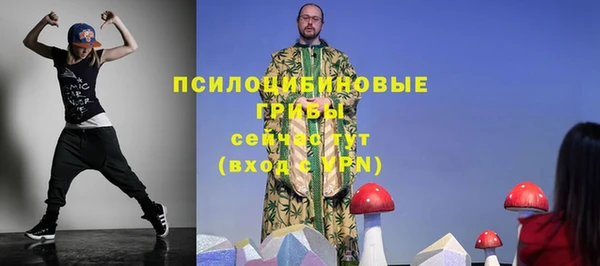 дживик Балахна