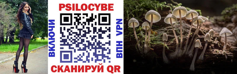 Галлюциногенные грибы прущие грибы  сколько стоит  Вяземский 