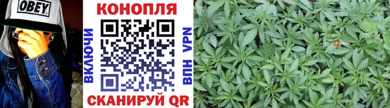 купить наркотики сайты  Вяземский  Каннабис THC 21% 